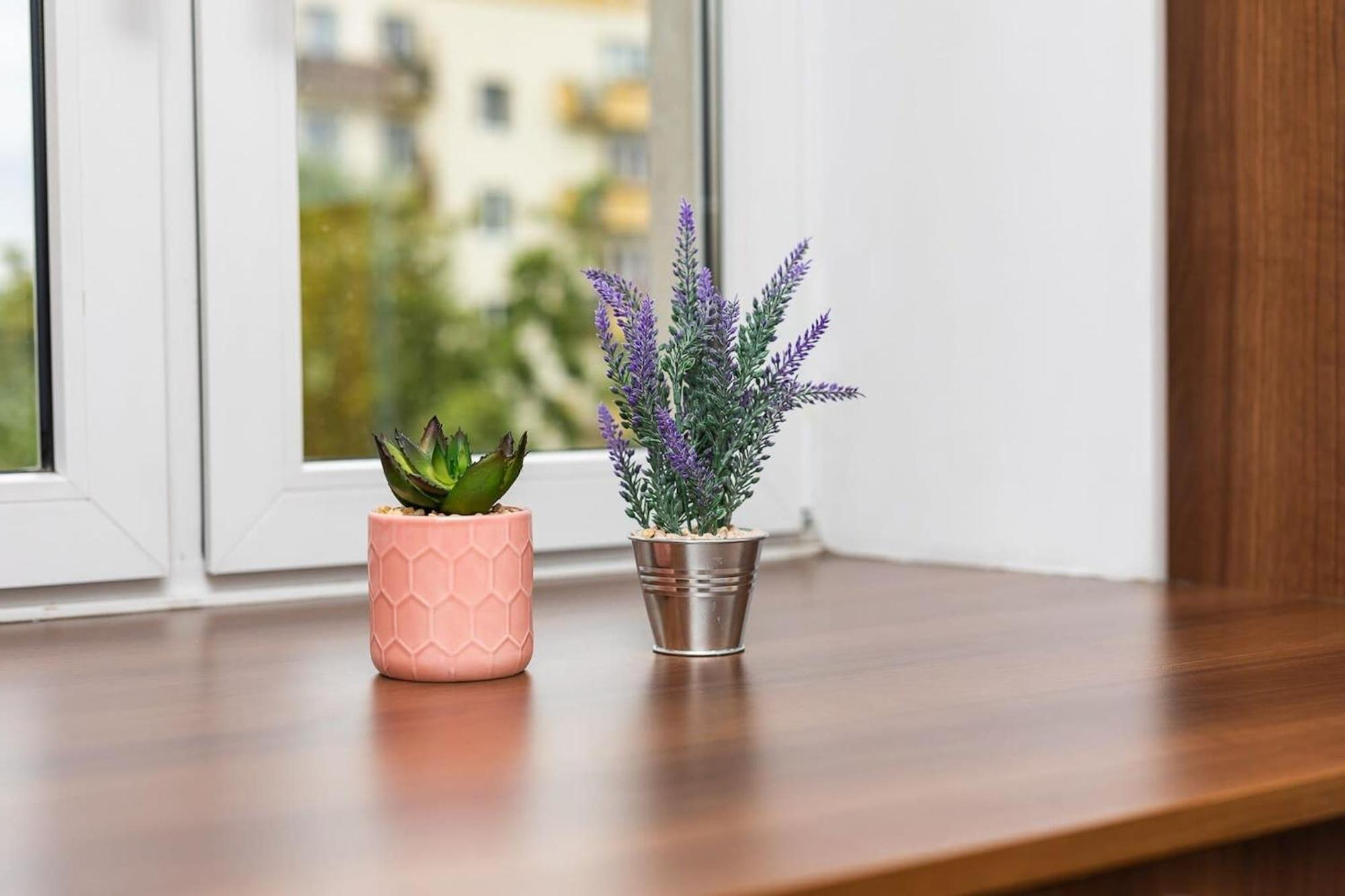 Apartament Nowoczesny Przy Alejach Solidarnosci W Warszawie By Rent Like Warszawa